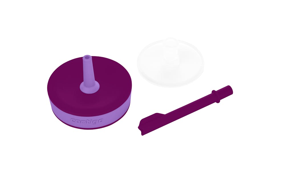 Kids Leighton Spill-Proof Tumbler with Straw, 14oz., 2-Pack - Grape Amethyst with Tulips
