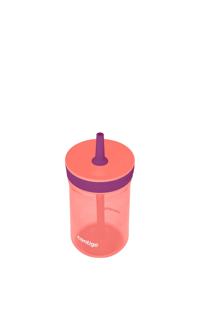 Kids Leighton Spill-Proof Tumbler with Straw, 14oz., 2-Pack - Coral Grape
